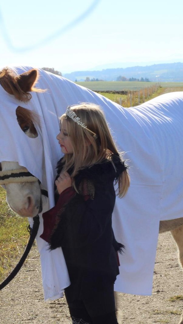 A quick peek at @andorfer_pferdefreunde - what‘s happening there on Halloween? 🎃 

It‘s all about little witches and wizards AND a ghost horse ❤️🥰. 

Thank you so much to 📸 @eva.c.k.81 - responsible for youth work at @islandpferde_von_lichtegg 🇦🇹🐴🥰

#miia #islandpferde #icelandics #icelandichorses #isländer #horsesoficeland #horsesofinstagram #instahorse #icelandichorsesofinstagram  #horsescomefirst #horselove #motivational #motivationforyourday #horsephotography #pferdefotografie #horsephotographer #pferdefoto #horsepic #iceland #beautiful #positivity #positiv #pferdeliebe #goodquote #inspirational #inspo #horseinspiration #loveyourlife #halloween #halloweeninthestable