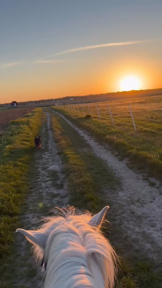 A new episode of my podcast „Sag’s miia“ is out! With lots of useful information about trail riding with Icelandic horses 🇮🇸. 

Michaela Bociurko, expert for trail riding, gave me all kind of interesting details – about route planning, equipment, the required fitness of both rider and horse. 

We also talked about the dangers and how to avoid them. 🇮🇸

A must-listen for anyone planning a longer trail-ride with an Icelandic horse, especially in Austria (in German language though) 🇦🇹🇮🇸. 

You find „Sag’s miia“ on spotify and Apple Podcasts as well as the link in today’s story! 

📸: @lonimaronii 

#islandpferde #icelandichorses #wanderreiten #horselove #islandpferdeinösterreich