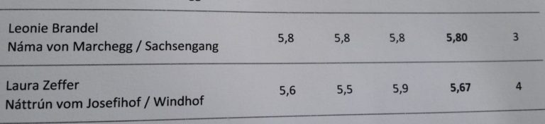 endausscheidung