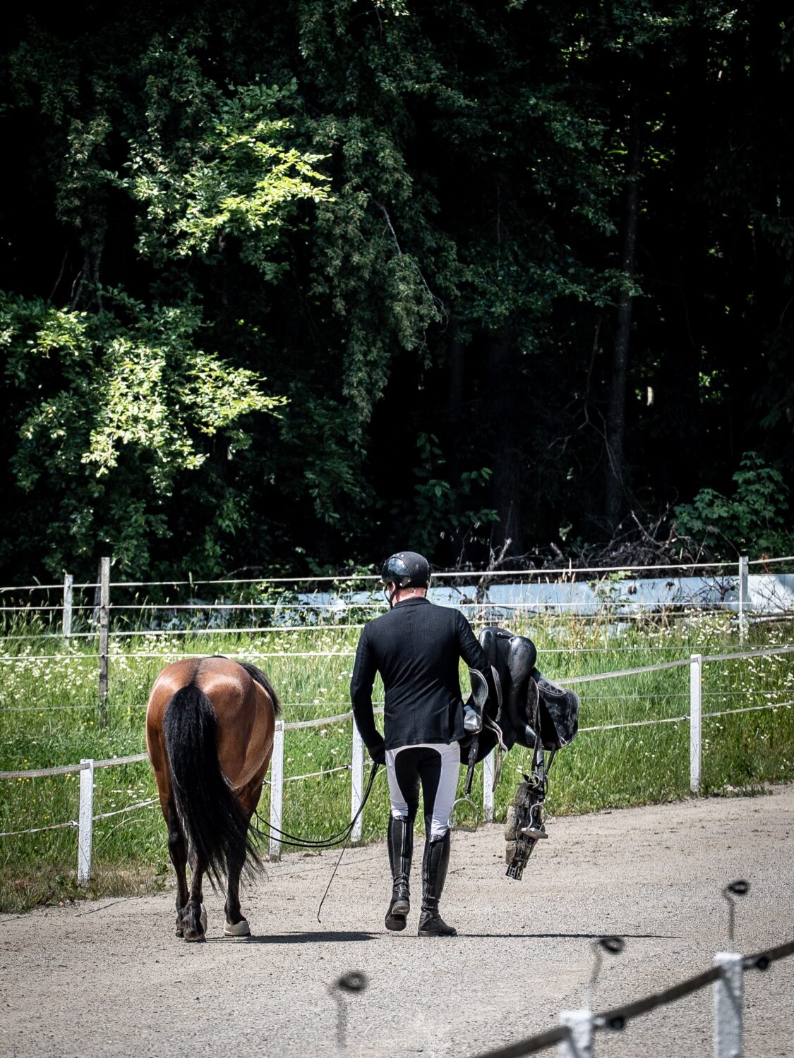 Because horses are so much more. ❤️
Friends, helpers, comforters, supporters, soulmates and silent, patient champions for their owners. 💫

This scene from last weekend’s competition @islandpferdereithofpiber is one of my favourites. 

Captured by 📸 @hestapix, who worked tirelessly for four days (in the big heat 🕶️) and provided all the riders with fantastic photos. 🙏

Stay tuned for more. ⭐️💫

#islandpferde #icelandichorses #islandpferdeinösterreich #competition #horselove