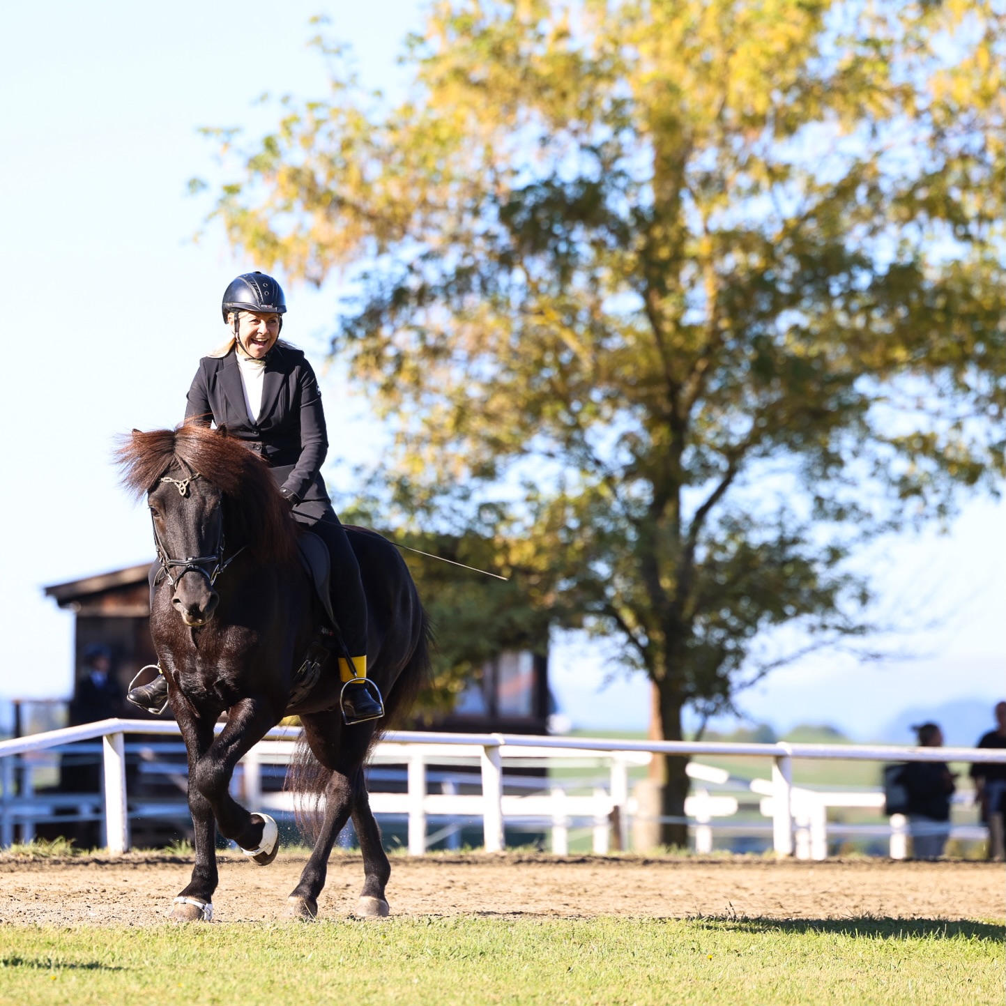 Welcome Autumn 🍁🍂

Even though the temperatures here in 🇦🇹 are still summery, there’s no mistaking that autumn is on its way. 🍁❤️

The best time to spend a few happy hours with your horse - like @heike.fuchs_ , here at the Styrian Championships 🍀 last weekend. 

A moment of happiness captured by 📸@anika_neugebauer_fotografie ❤️

#islandpferde #icelandichorses #competition #steirische #horselove