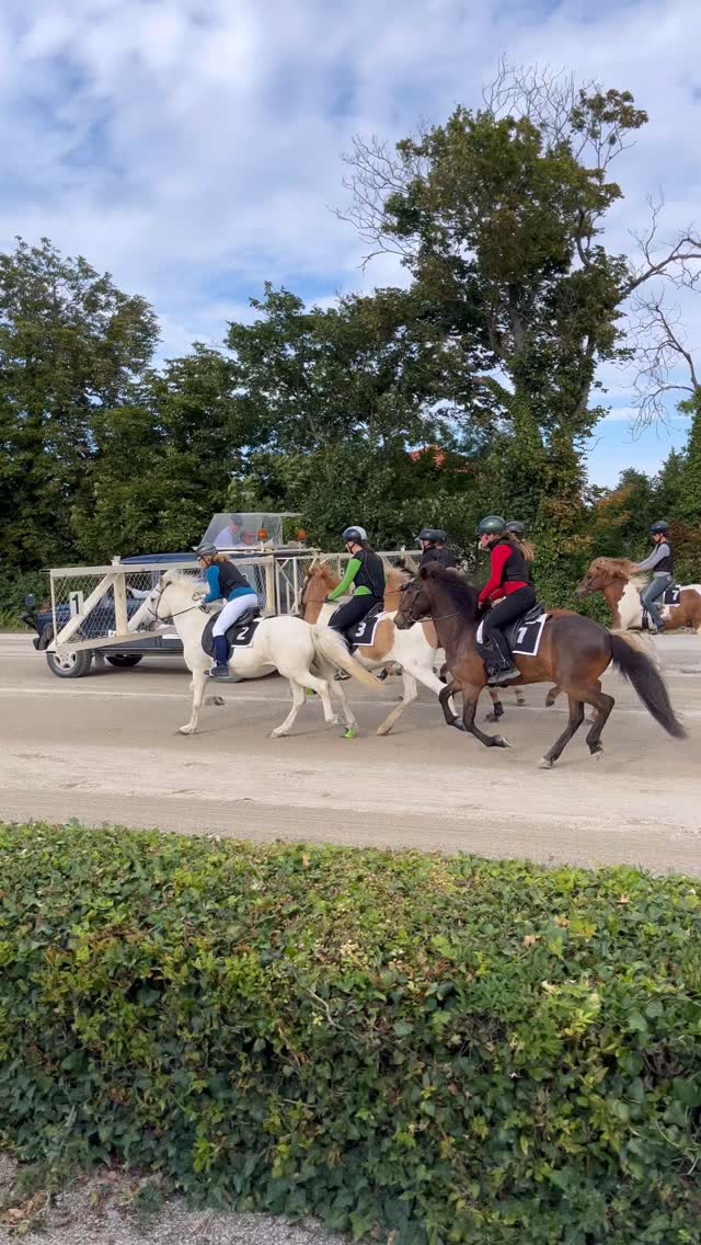 It‘s all about changing the perspective every once in a while … 🤗 watch till the end! 🥰

The gallop-race is over (it took place yesterday) and there‘s a lot to show you and to talk about. But first of all, I would like to say a big thank you to all the fantastic people and horses who made this great adventure possible. ❤️

#icelandichorses #islandpferde #icelandics #horsesoficeland #galopprace #horserace #speed #horselove #islandshest #hest #isländer #rennen #trabrennbahn