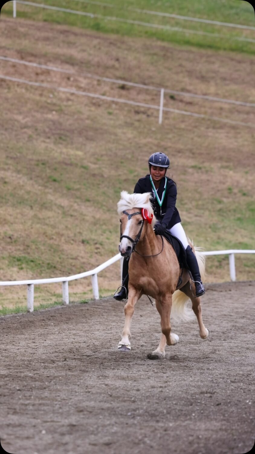 This very last video from the 🇦🇹 Austrian Championships 2026 🇦🇹 (captured again by @anika_neugebauer_fotografie 🙏) leads perfectly to the big Icelandic Horse Race on 6 August! 🐎

Sophie Schüller and her Snækollur frá Selfossi – here at the 🏆 price giving ceremony at the 🇦🇹 Austrian Championships 🇦🇹 - will soon be galloping at full speed on the race track in Baden near Vienna! 🎖️

As one of the ambassadors for our Icelandic horses 🇮🇸, Sophie will be demonstrating (together with 12 others) in front of thousands of spectators just how versatile, fast and fantastic our Icelandic horses are. 🤩🇮🇸

⭐️ „Die Nacht des Pferdes“
⭐️ 6 August 2026 (late afternoon) 
⭐️ Trabrennbahn Baden near Vienna 

📸: @anika_neugebauer_fotografie 

#islandpferde #icelandichorses #galopprennen #islandpferdeinösterreich #horsephotography