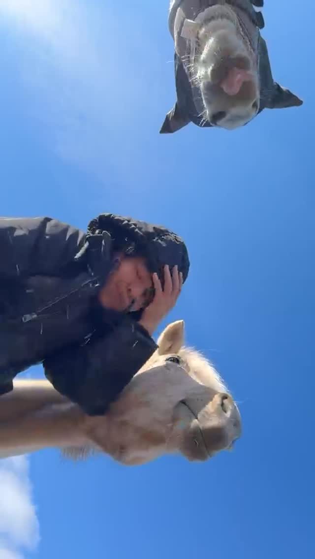 I’ve been in Argentina 🇦🇷 for the last two weeks and have had some really brilliant experiences. Horses included 😅! But what good are those brilliant experiences if you don’t know how your horses are getting on back home? ❤️

My family & I knew exactly how they were doing, as @edwards__laura sent us a video update every single day. Thank you so much, Laura, for looking after our horses! ❤️

A big thank you also to Dana and Rudi (and especially to Anna!) from @reitzentrum_sachsengang for looking after our animals so well during the time we were so far away. 🇦🇷❤️

Now I am happy to be at home again. I went for a (fast) ride with Skriða. Back to normal. Back to Skriða, Hreimur, Óþreyja & Náma. ❤️

#horselove #icelandichorses #islandpferde #horsesitter #horsecare