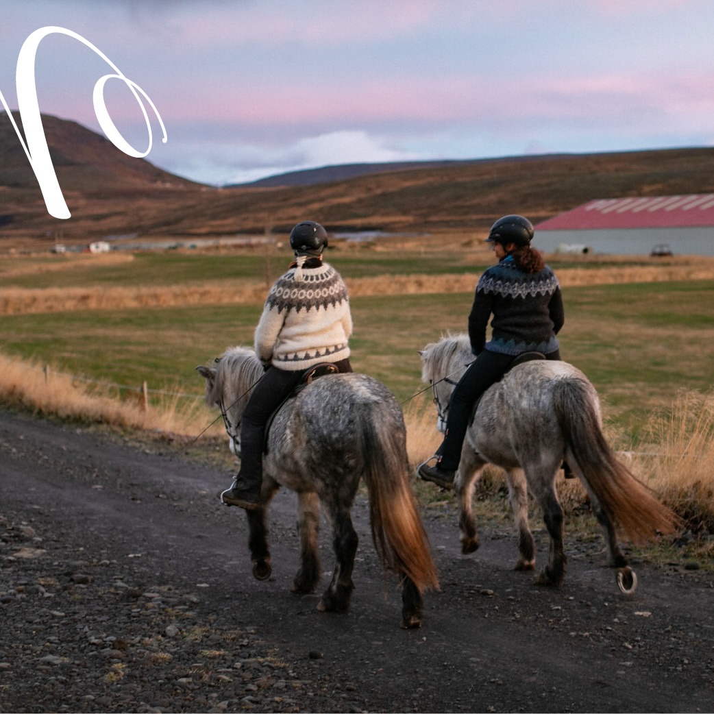 Sometimes it‘s time to say just Thank you. No give-aways. No Black Friday offers. No Christmas presents. Nothing that money can buy. 

Just words for a friend. A thank you for someone who really deserves it. 🥰

Be part of the „miia:adventkalender“ this year. With beautiful pictures by @horses_and_lights. Link in Bio! 🎄

📸: @horses_and_lights 

#miia #miiameilensteine #islandpferde #icelandics #icelandichorses #isländer #horsesoficeland #horsesofinstagram #instahorse #icelandichorsesofinstagram #judge #richter #training #horsetraining #pferdetraining #pferdetrainer #horsetrainer #weiterlernen #gemeinsamweiterkommen #horsescomefirst #horselove