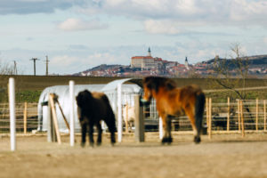 Blick auf Tschechien vom Paddock aus