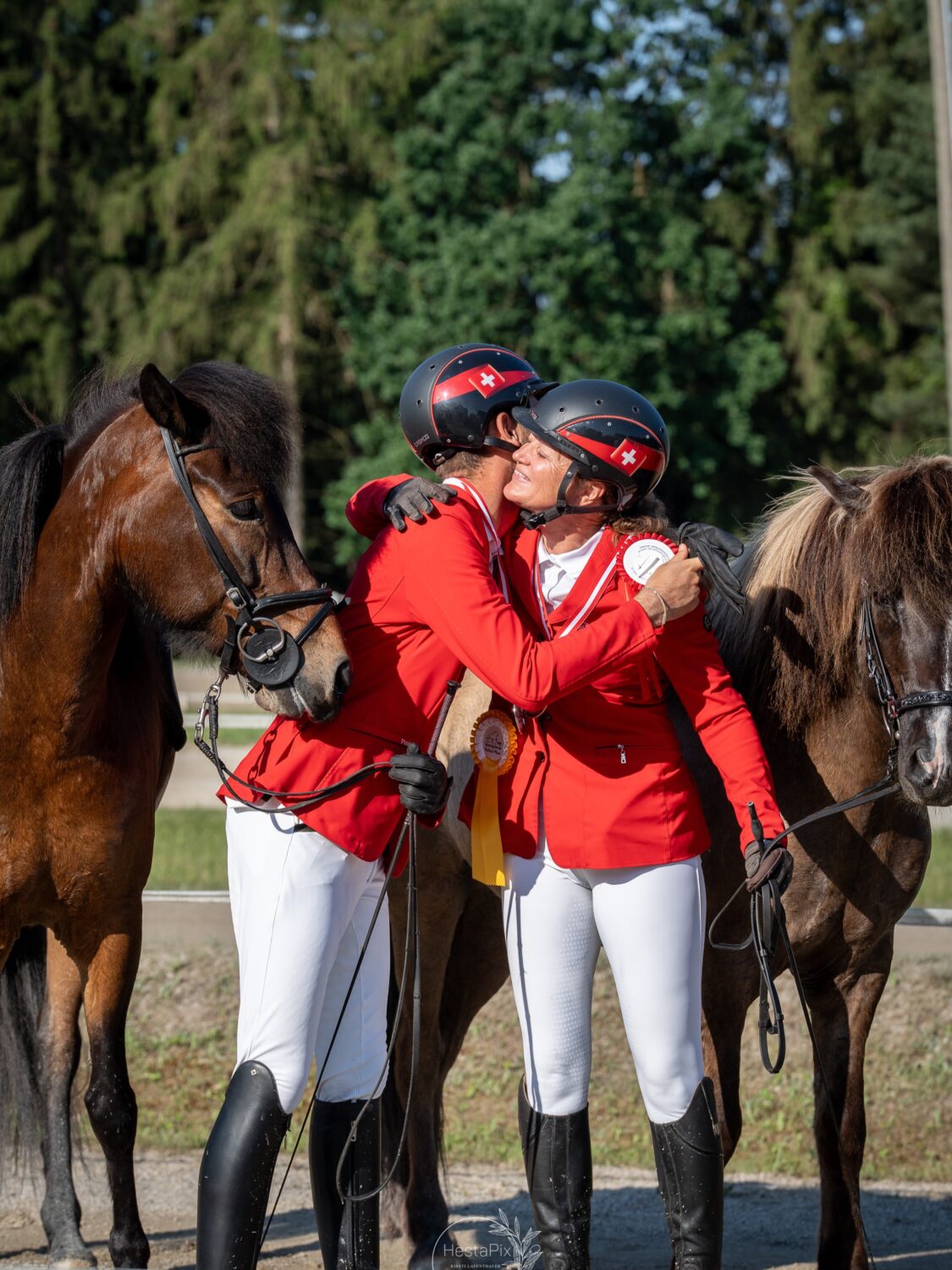 🇨🇭Winning together hits different.🇨🇭

Congrats to Team Switzerland competing in Austria @islandpferdereithofpiber last weekend ❤️

📸: @hestapix 

#islandpferde #icelandichorses #competition #islandpferdeinösterreich #horsephotography