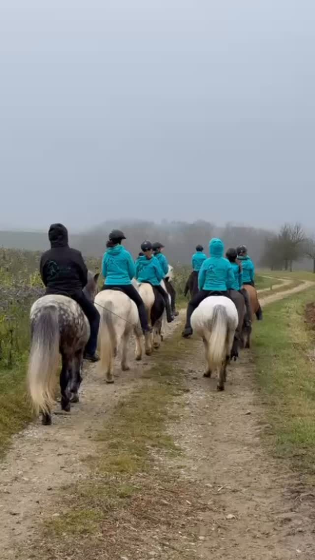 Another tradition - widely spread in the western part of our country 🇦🇹. 

Can you guess, where the riders and horses coming from Andorf @islandpferde_von_lichtegg are going? 

#miia #islandpferde #icelandics #icelandichorses #isländer #horsesoficeland #horsesofinstagram #instahorse #icelandichorsesofinstagram  #horsescomefirst #horselove #motivational #motivationforyourday #horsephotography #pferdefotografie #horsephotographer #pferdefoto #horsepic #iceland #beautiful #positivity #positiv #pferdeliebe #goodquote #inspirational #inspo #horseinspiration #loveyourlife