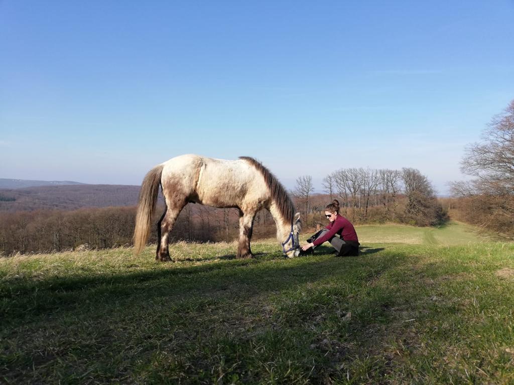 Denise und Grásteinn