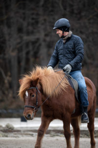 Lukas Perman reitet auf einem Islandpferd