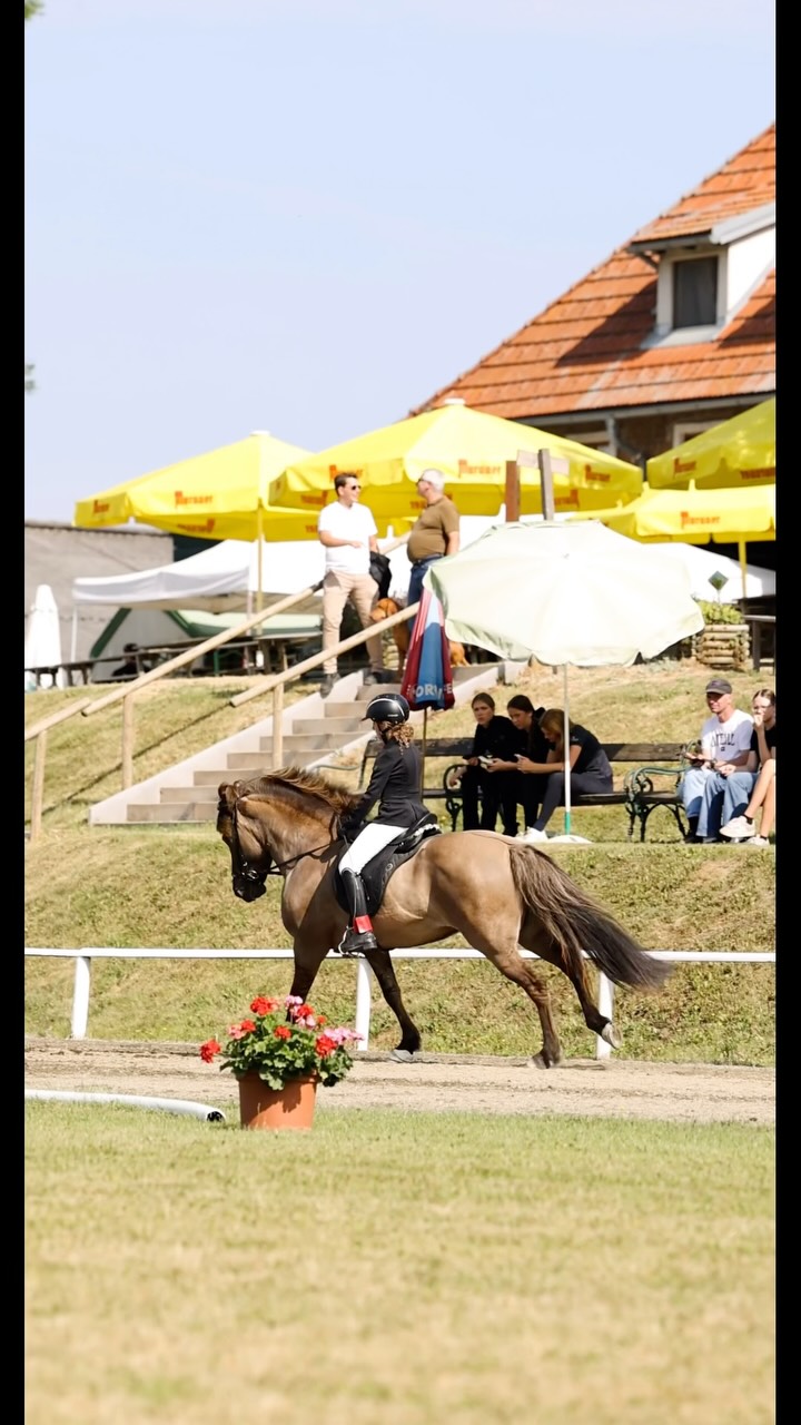 ❤️ For young riders there‘s nothing more important than loving family support ❤️

Captured by @anika_neugebauer_fotografie at the ongoing 🇦🇹 Austrian Championships 🇦🇹@piethoyos 

Starring: Julia Sophie Hofpointner & Ballerina von Oed 

📸: @anika_neugebauer_fotografie 

#islandpferde #icelandichorses #competition #horsephotograpy #islandpferdeinösterreich