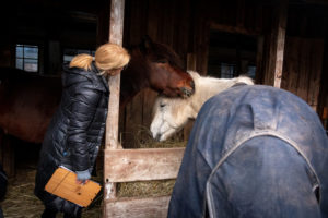 Besuch im Reitstall Mileder