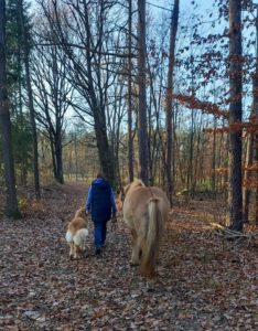 Doris beim Spaziergang mit Háfeti und Alois