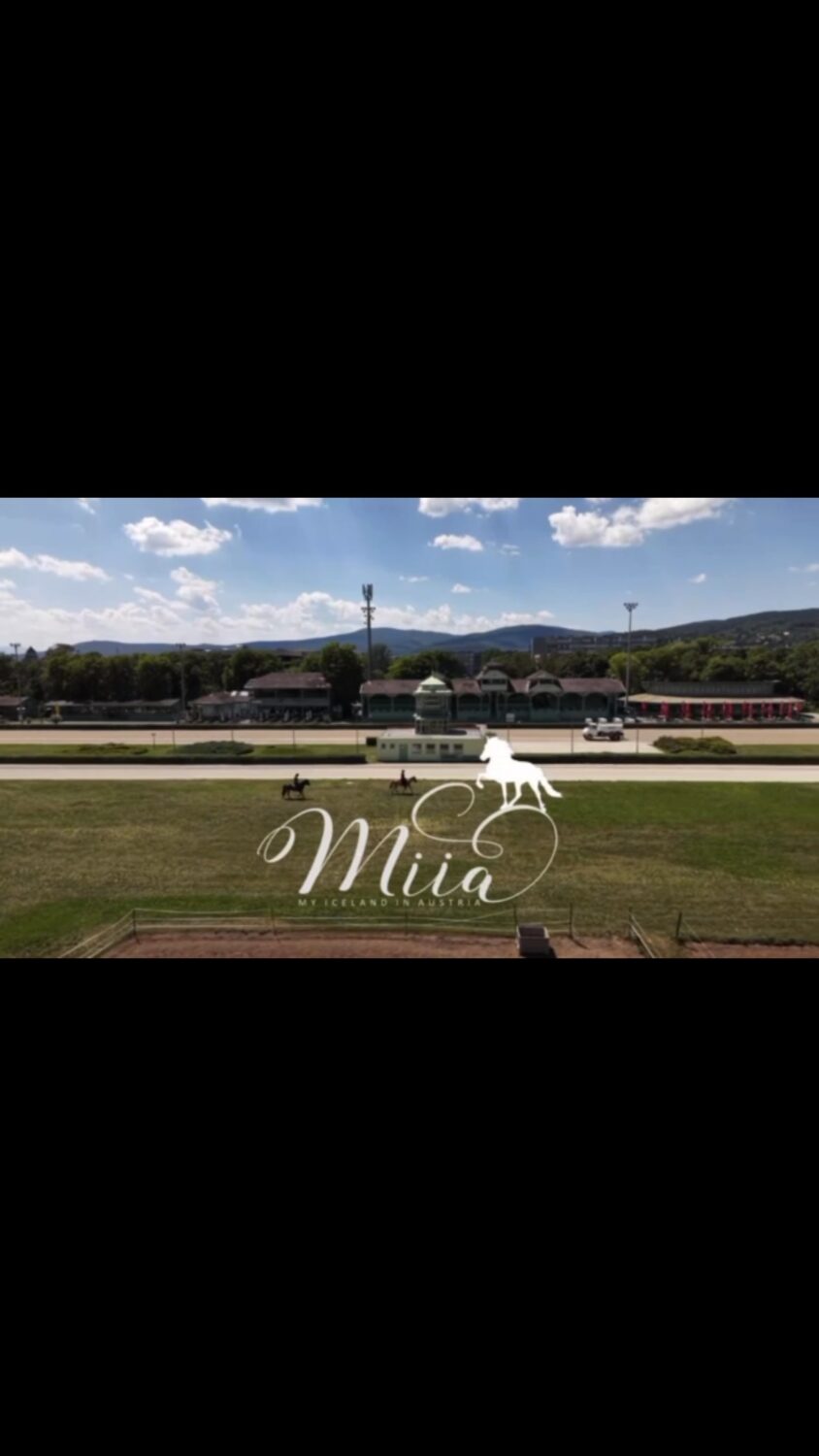 Let‘s talk about something else … the next miia:adventure: The Race 2027 🇮🇸🏆

One month ago, in June, the participants had the unique opportunity to simply let their horses gallop on the giant Race Track. It was a training day we organised for all the riders who participate in „The Race“ on August 6. 

There was still no stress, no music, no one watching, none of the excitement that is bound to be there on 6 August. 

On that calm day, all the riders simply got to know one another and were able to prepare themselves (and their horses) brilliantly for the big adventure ahead. 🎉

📸: @moritzscheer 🙏

#islandpferde #icelandichorses #therace #islandpferdeinösterreich #malwasanderes