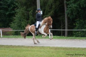 Toppsson und Emilie Schirmer_von Draumur Photography