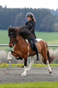 Anna Sager und Steggur_Foto von Neddens Tierfoto