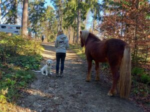 Barbara Leitner geht spazieren mit Hund und Pferd