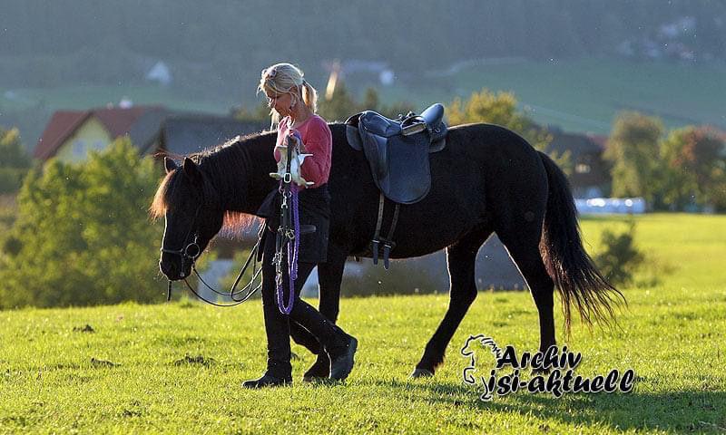 Barbara Leitner geht mit Pferd ihres Sohnes spazieren_isi-aktuell