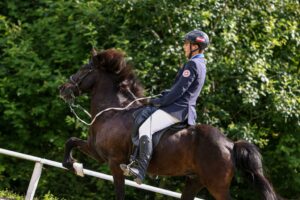 Christian Leitner beim Zügelüberstreichen mit Krummi