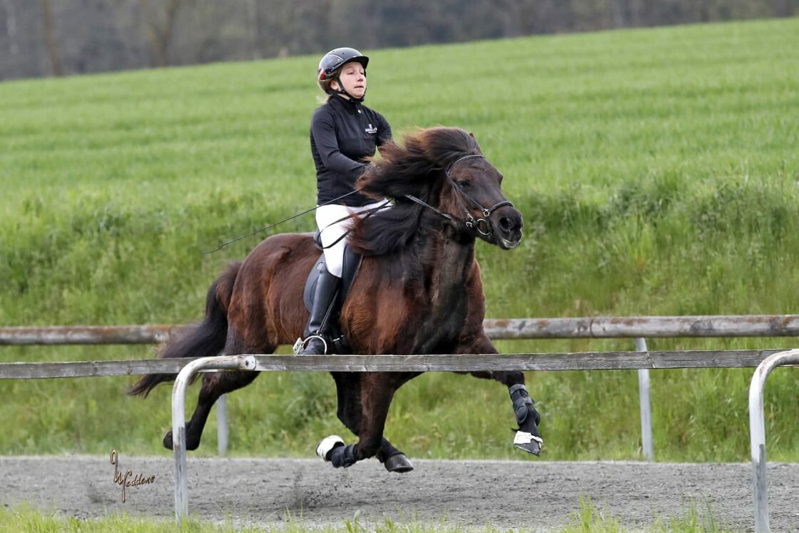 Johanna Kirchmayr und Kolfreyja frá Rørvik fliegen über die Passbahn_foto von Neddens Tierfoto