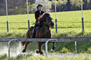 Johanna Kirchmayr und Kolfreyja frá Rørvik im Pass_von Neddens Tierfoto