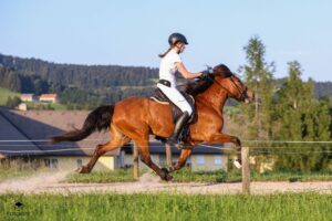 Johanna Osterkorn und Björt im rennpass_Foto von Anikas Fotokiste