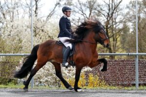 Höfdi und Petra Gastl beim Turnier