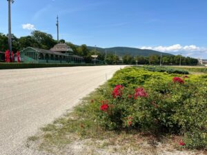 Eine Rennbahn für Islandpferde