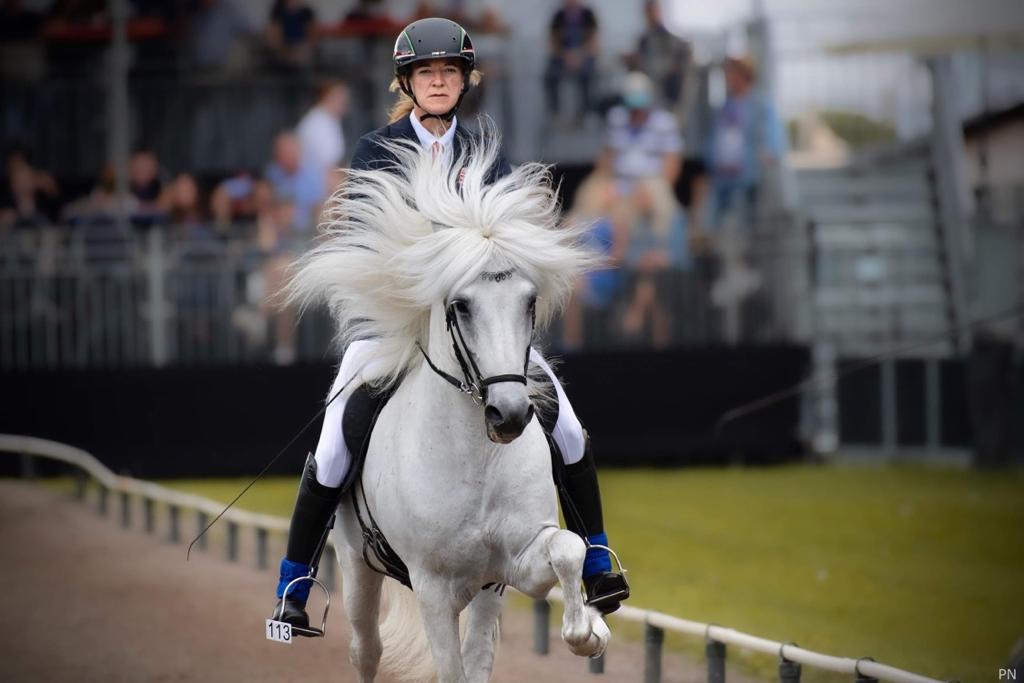 Veronika Kremmer mit Ísbjörn im Tölt bei der WM_Foto Peter Niess