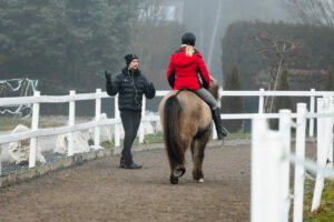 Reittraining bei Ási_Foto von Nicole Heiling Photography