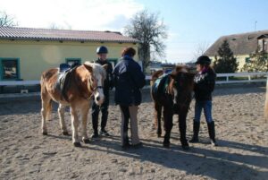 Die Reitschule am Aspacherhof