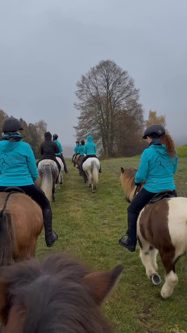 Congrats to everyone who guessed correctly in the story! 🍀🥰

It was a horse blessing ceremony, called Leonhardi-Ritt, that 15 horses from @islandpferde_von_lichtegg set off for on Sunday. It wasn’t far for the Icelandic horses 🇮🇸 to reach the place. After the blessing, there was the traditional bread given to the horses and after that the riders met – without their four-legged friends – to a joint lunch for everyone who participated. 

Feels like a great (traditional) adventure to me! 🥰

Thank you to @laura.poettinger, @andorfer_pferdefreunde, @leni_reuab and @islandpferde_von_lichtegg for sharing the pictures and videos! 🙏🥰

#miia #islandpferde #icelandics #icelandichorses #isländer #horsesoficeland #horsesofinstagram #instahorse #icelandichorsesofinstagram  #horsescomefirst #horselove #motivational #motivationforyourday #horsephotography #pferdefotografie #horsephotographer #pferdefoto #horsepic #iceland #beautiful #positivity #positiv #pferdeliebe #goodquote #inspirational #inspo #horseinspiration #loveyourlife