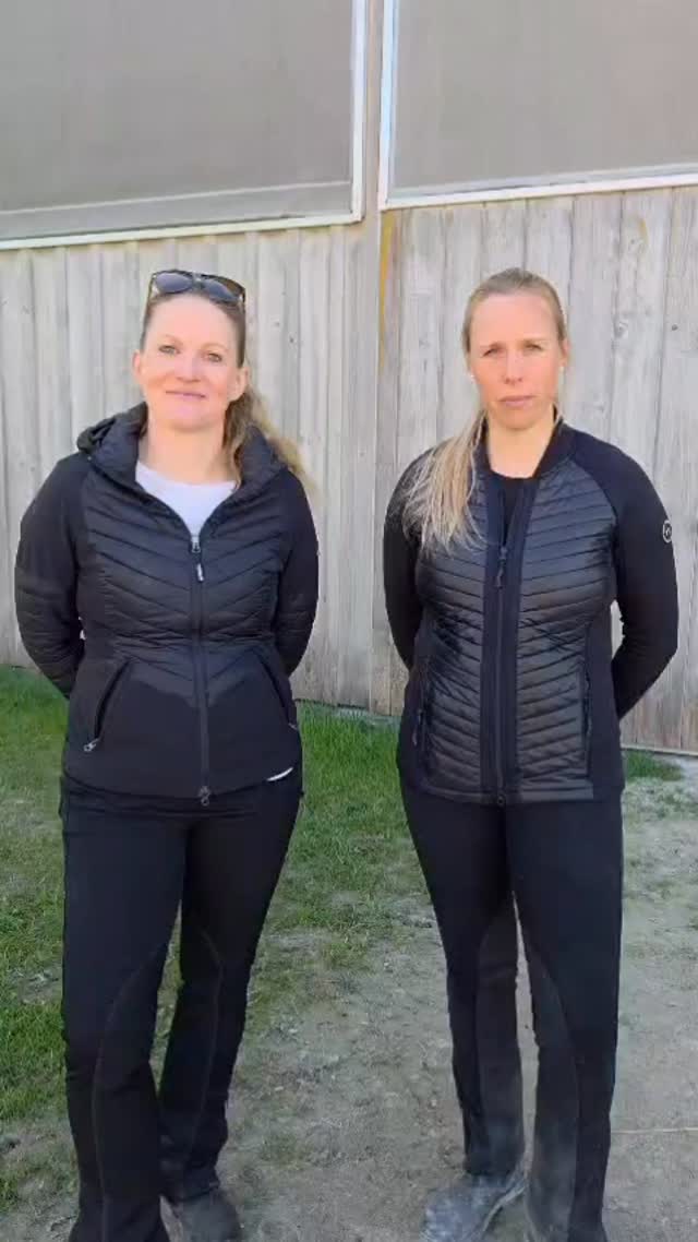 Was ist gerade los am @islandpferdereithofpiber ? Lassen wir zwei zu Wort kommen, die es ganz bestimmt wissen! 🇦🇹❤️

Ein kurzes Interview mit Carina Piber @pibercarina und Petra Gastl, der österreichischen Zuchtreferentin. @pgastl 🇦🇹🐴

📸: @hestapix 

#islandpferde #icelandichorses #isländer #fizo #islandpferdeinösterreich