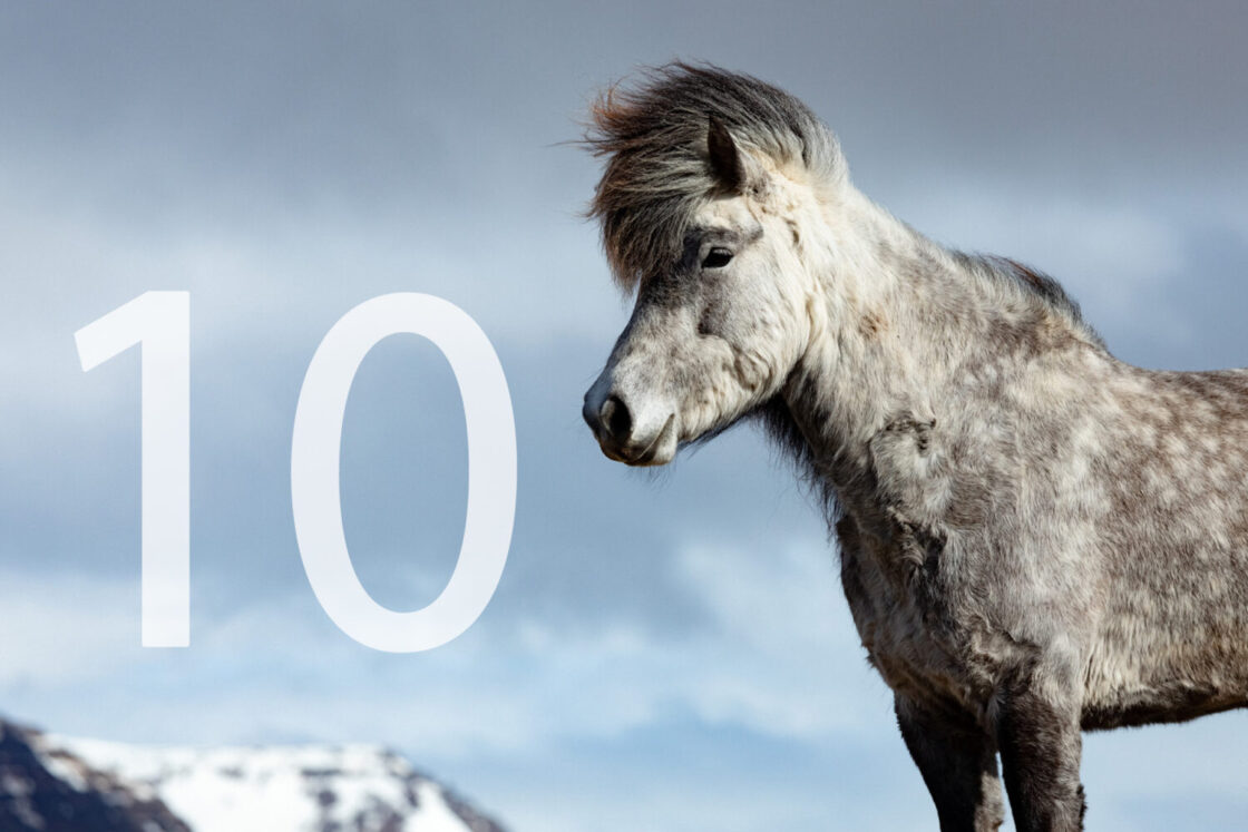 10. Dezember_Foto von Nicole Heiling