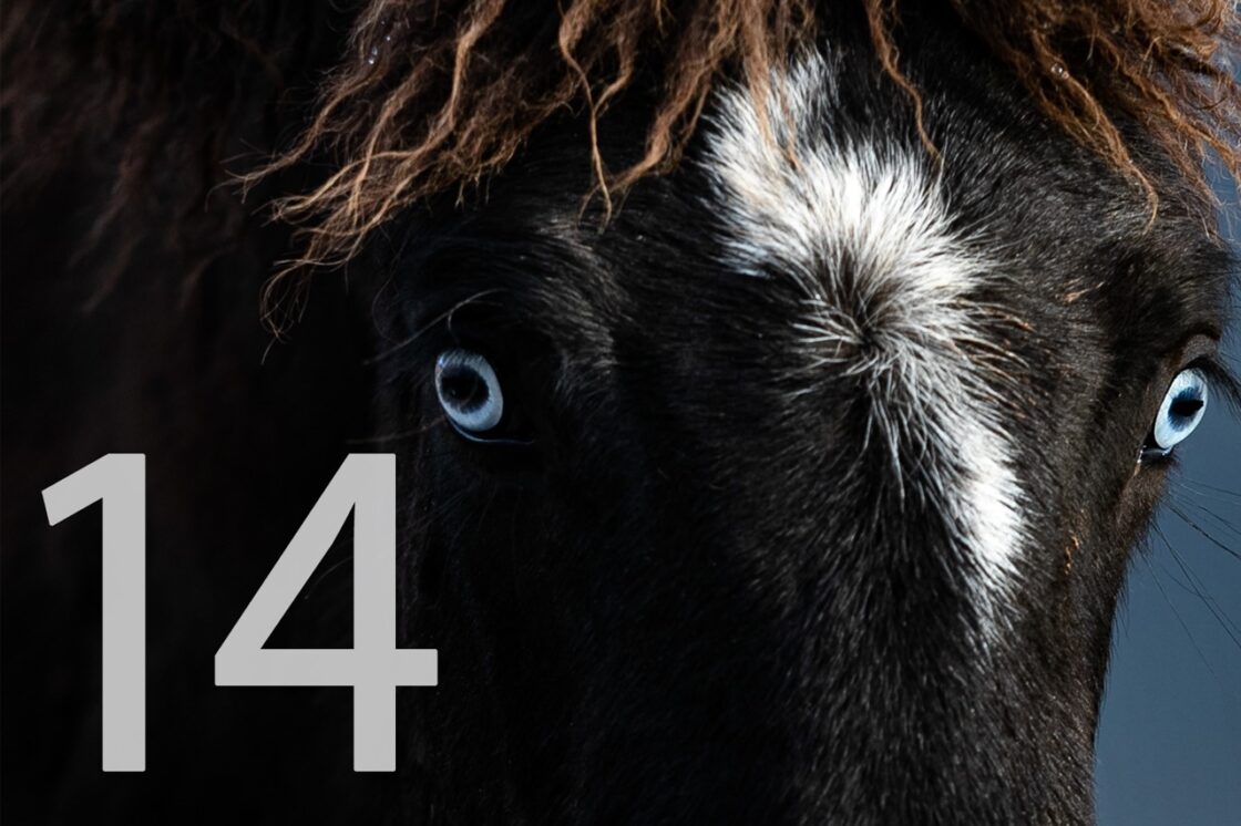 14. Dezember_Foto Nicole Heiling