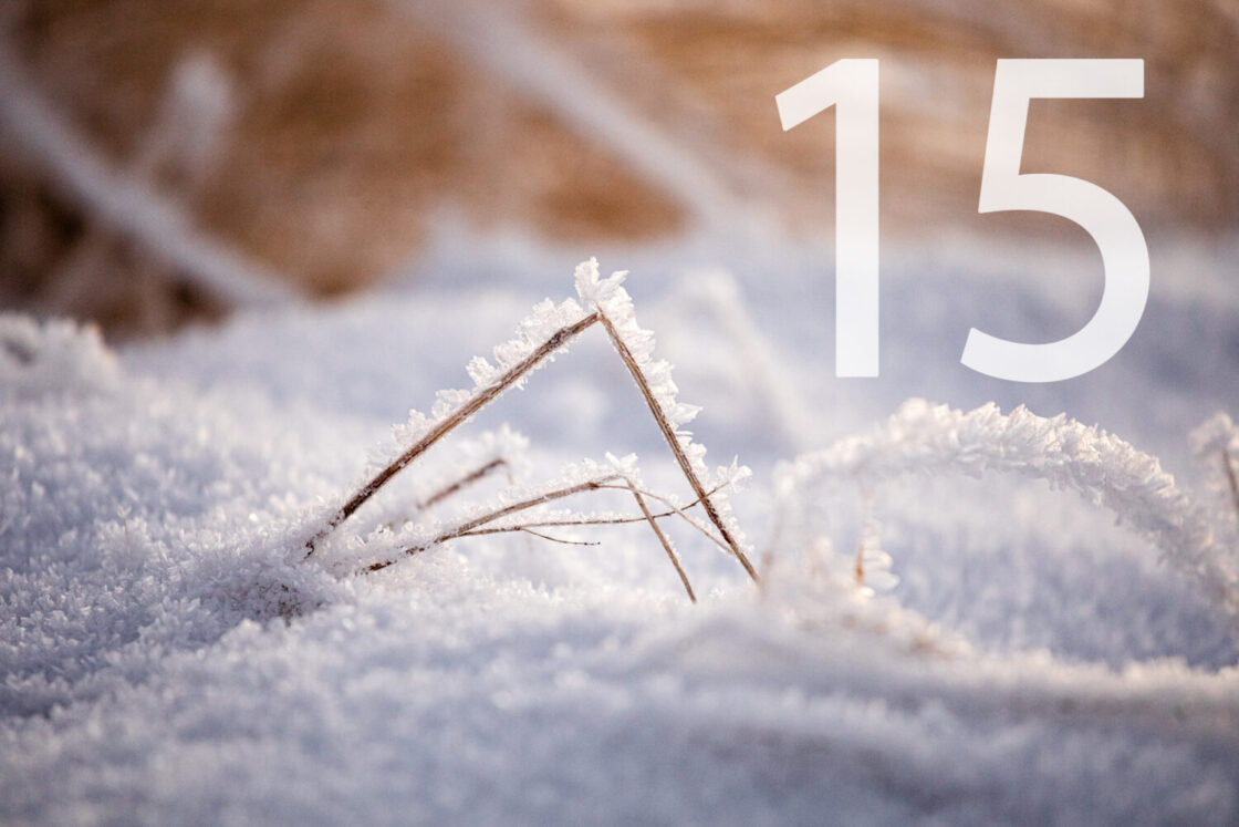 15. Dezember_Foto Nicole Heiling