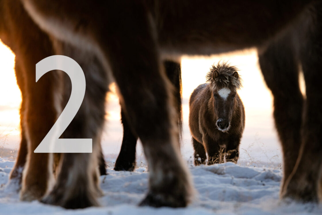 2. Dezember_Foto von Nicole Heiling Photography