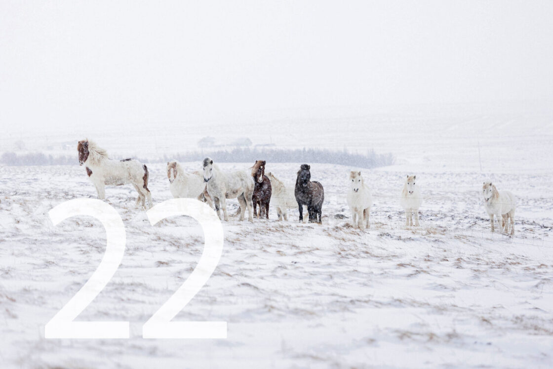 22. Dezember_Nicole Heiling Photography