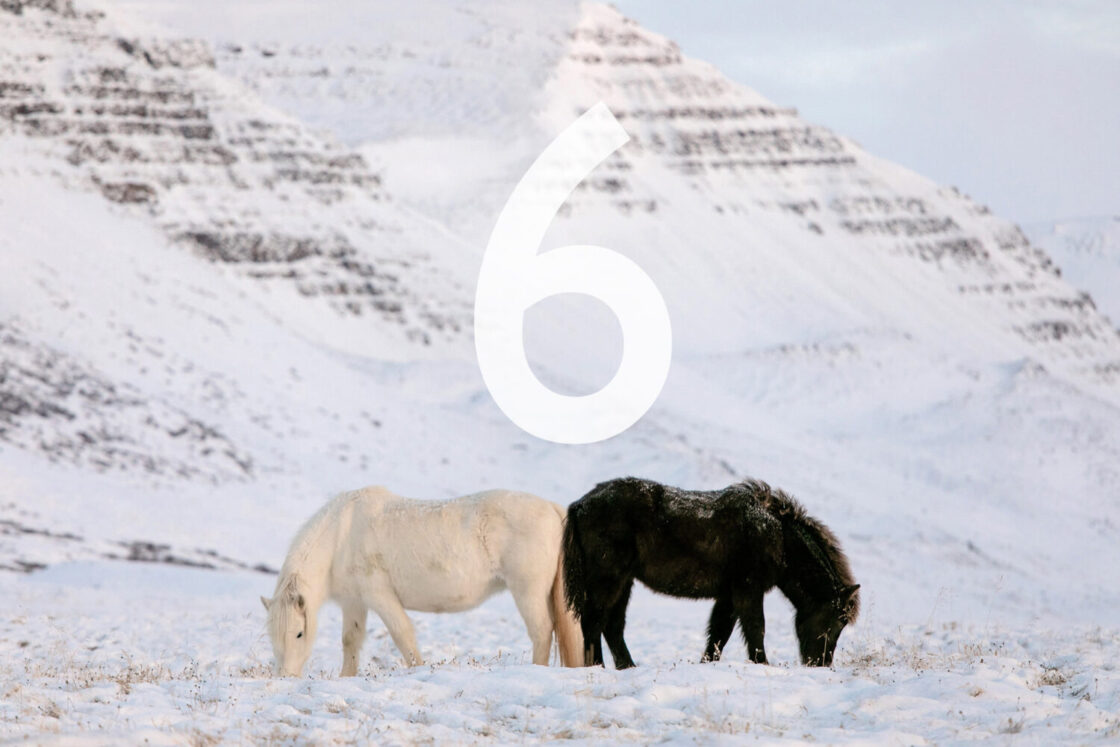 6. Dezember_Nicole Heiling