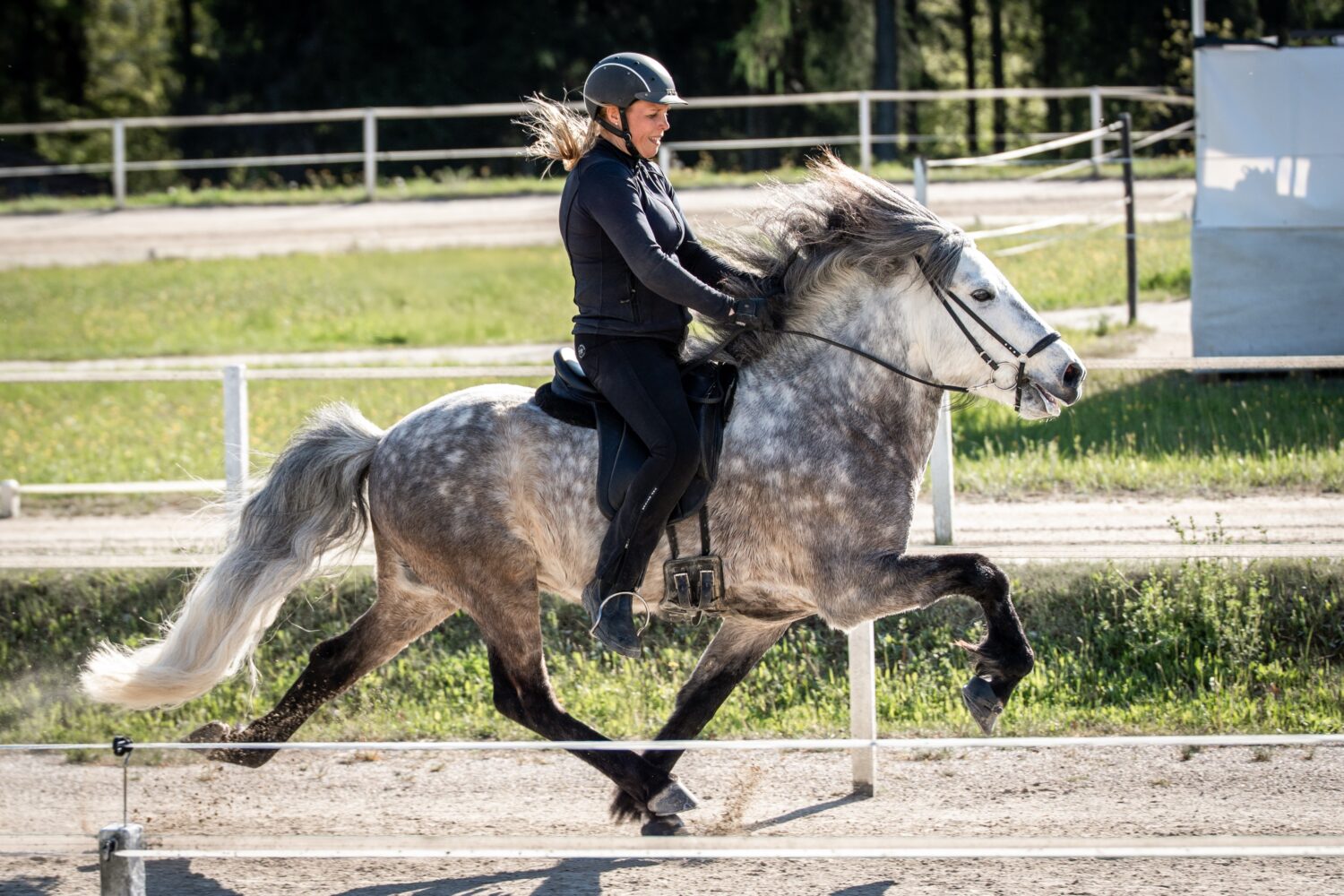Are you ready for the upcoming weekend? 

Bereit für die Salzburger und Tiroler Meisterschaften 2026 🇦🇹 in Strasswalchen am @burghauserhof? 

I hope, we will see these two! Carina Piber  and Milljardur frá Stóra-Aðalskarði in T1 and F1 💫 owner: @thecolourfulworldoflisa 😍

This picture was taken by @hestapix at the first FIZO 2026 at @islandpferdereithofpiber. 🙏 I keep my fingers crossed for Kirsti from @hestapix as well 🍀🙌! Good luck to all of you and have a wonderful time with your horses. ❤️🇦🇹

📸: @hestapix 

#islandpferde #icelandichorses #turnier #competition #islandpferdeinösterreich