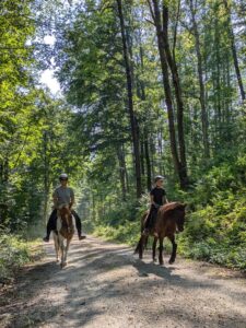 16. Dezember_von Doris Bernold