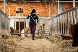 Gut Pöllndorf_Foto Hestapix
