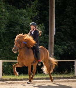 Magdalena Feldweber_Foto Hestapix
