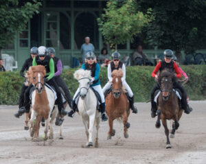 Galopprennen 2025_Foto Leonhartsberger