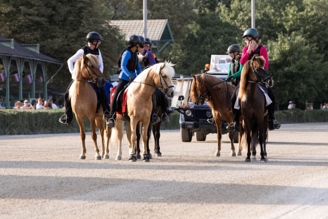 Warten auf den Start_Foto von saendras